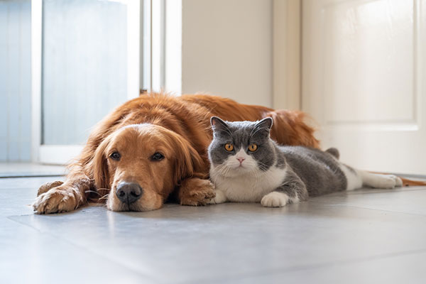 Produits minceur Pharmacie d'Hilly à Chauny proche de Tergnier